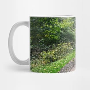 Late September Morning New England Nature Walk - winding path Mug